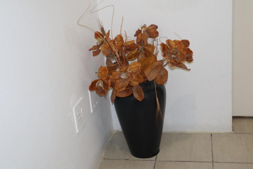 Coastwave Guest House Walvis Bay Ngoại thất bức ảnh